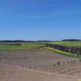 Ogród klasztorny